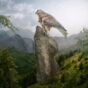 Chronicles Connect